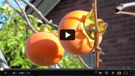 ��������� ���� ������ �������� ������