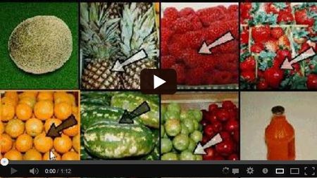 � ������� �������� � ������� ��������