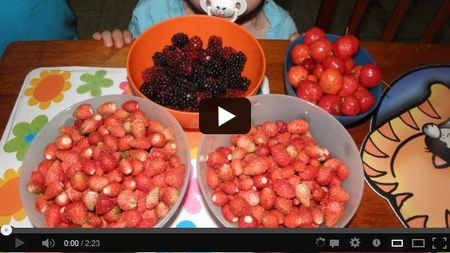 ��� ������ ����� � ������� 1 6