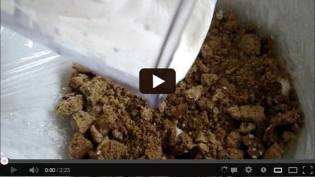 ����� ��� ������ �������� ����