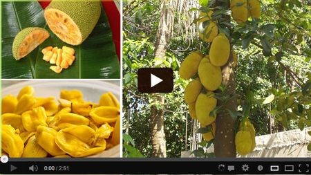 ����� ��� ���������� ������