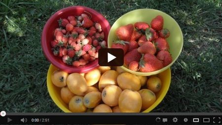 ���������� ����� ���� �5