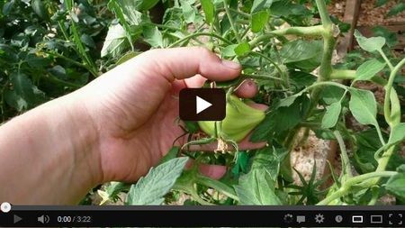 ����������� ����� ������� ����� �������