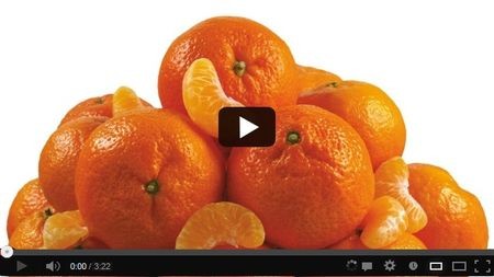 ��� ����� �������� ��� ���������