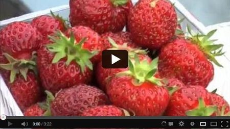 ��������� ��������-��������� �������� �� �� ���������