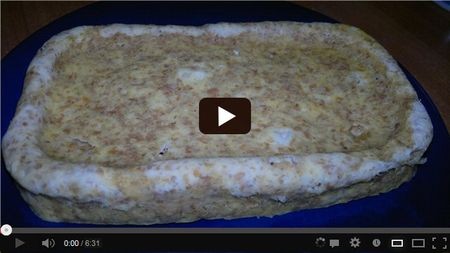 ������������ �����