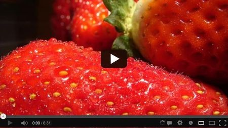 ���������� �������