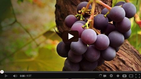 ����� ���� ������� ������