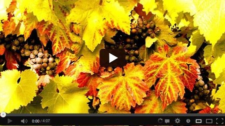 �������� ��������� ������ ������������