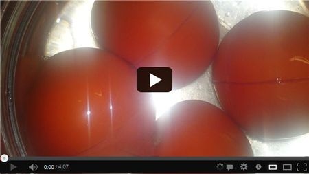 ��� �������� �� ��� ���� ����