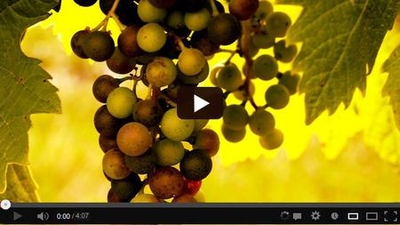 ����� ������� ���������