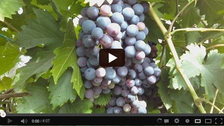 ����� �5 ����������������