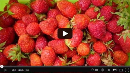 ��� ������ �������� �������� ��� ��������